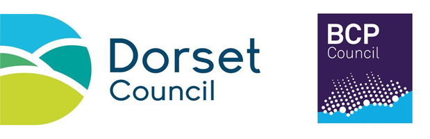 Dorset for You has gone through some changes and now use live chat software on their new council websites